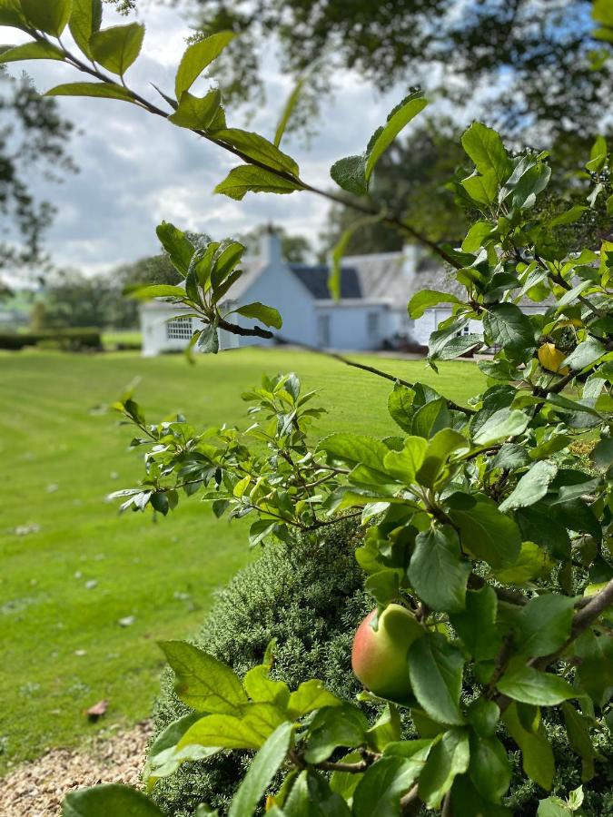 South Craighall B&B Eaglesham Eksteriør bilde