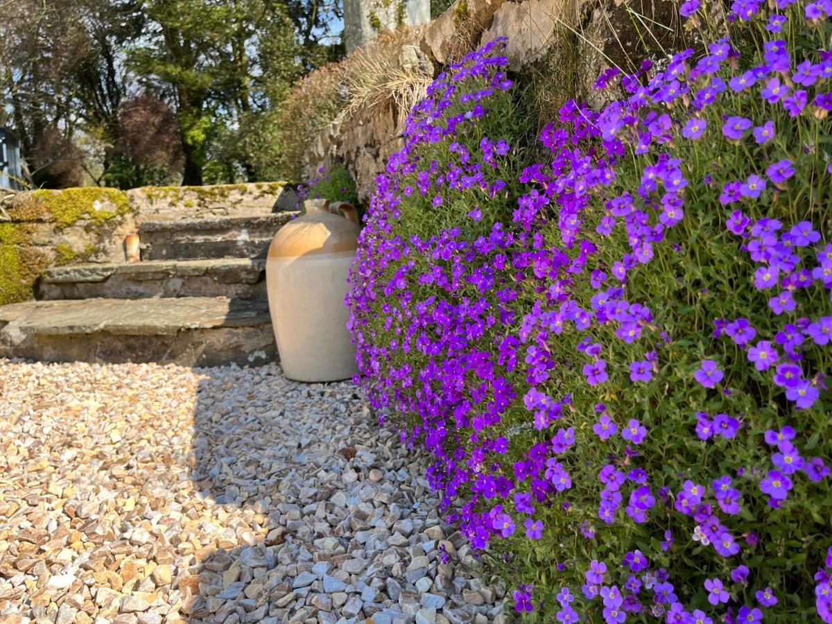 South Craighall B&B Eaglesham Eksteriør bilde