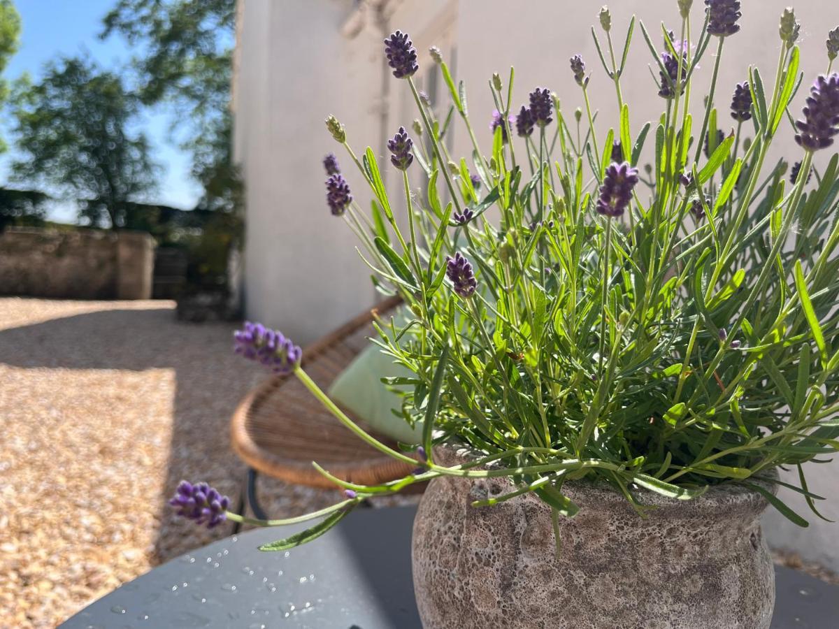 South Craighall B&B Eaglesham Eksteriør bilde